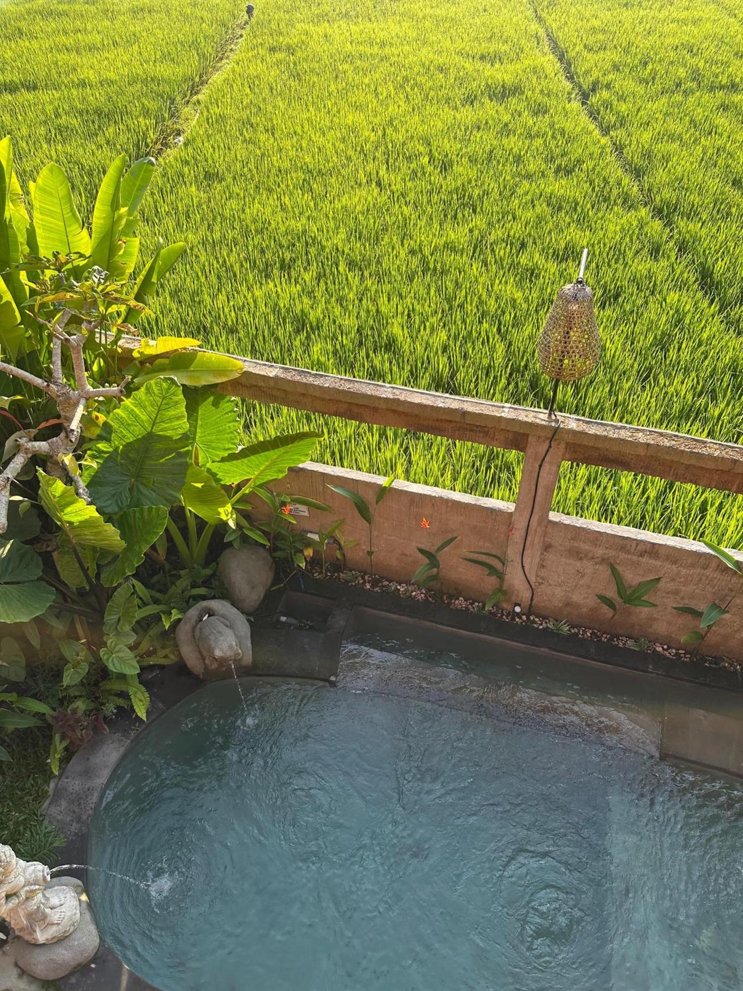 Aditara Sebatu Villa Убуд Екстер'єр фото